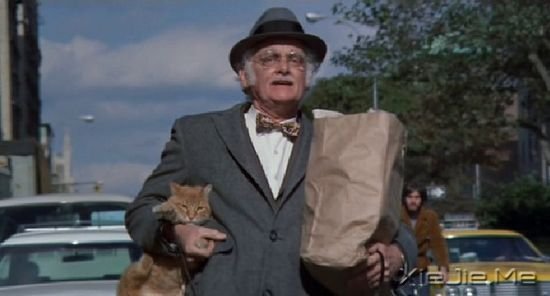 关于猫咪的9部经典电影推荐 (5)