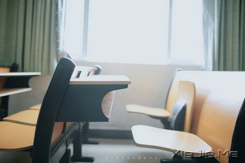 ���ڱ�ҵ��20�׸����Ƽ� (17)