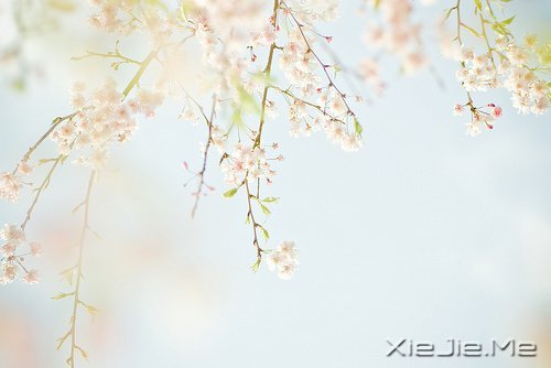 10����ů��Ӣ�ĸ����Ƽ� (4)