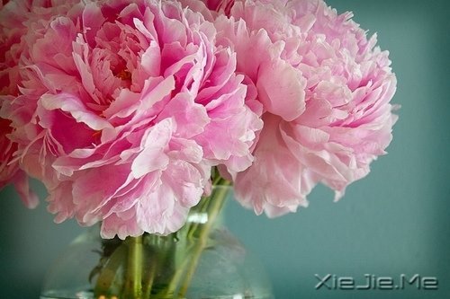 10����ů��Ӣ�ĸ����Ƽ� (9)