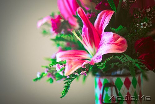 文字:别人的母亲