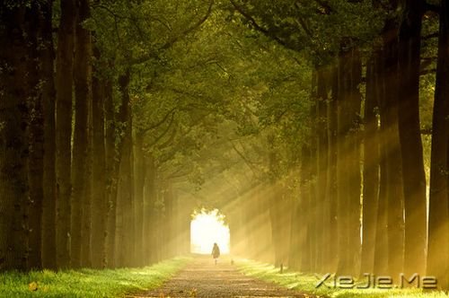 ���ǻ���Լ����ģ�����˫��ĥ��ҲҪһֱ����ȥ