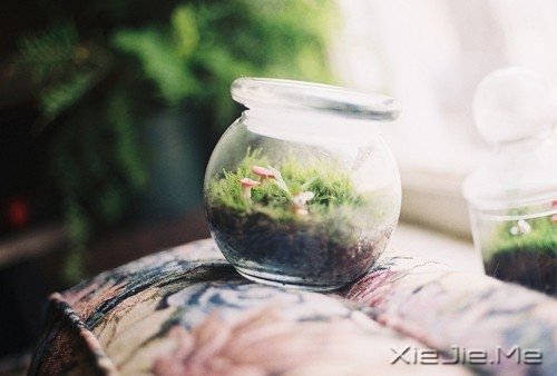 ���֣����ղ������ڵ�5����