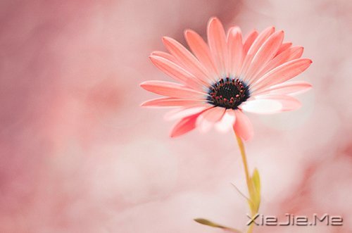 珍惜你身边,那真实的温柔