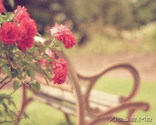 放慢脚步,还原世界本来的面目