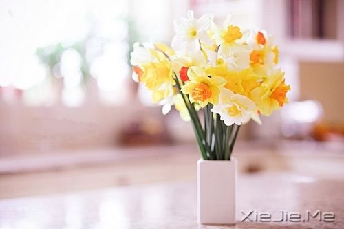 �㲻�ɲ�֪����������/��ܭ��