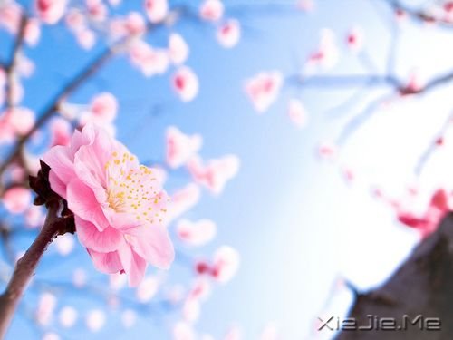 最容易丢的东西