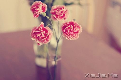 人,没有任何理由沉沦不起