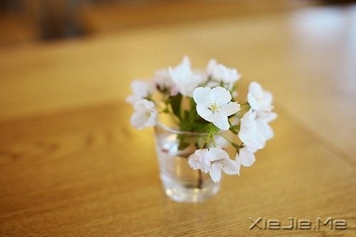 03083 (3) 豁达人生必备的8味良药 (3)