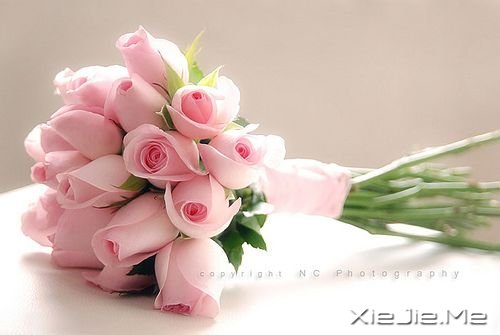 �������������ʮ�� (1)