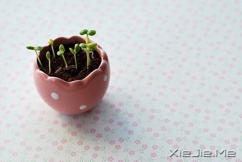 就想和你在一起