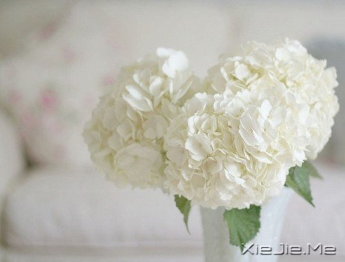 世界很大,风景很美